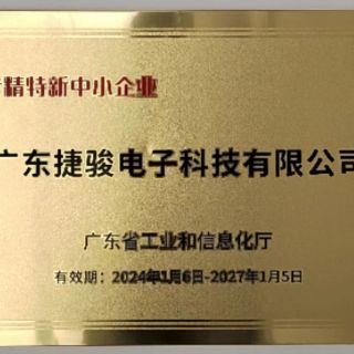 广东澳博·体育电子科技有限公司荣获“专精特新”中小企业称号